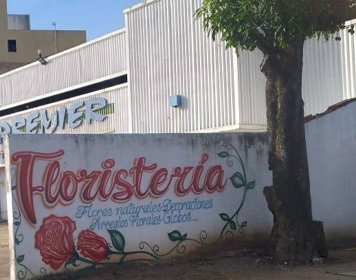 Graffity Floristeroia 1 rebeca bbbbbbbbbbbbbbb.jpg