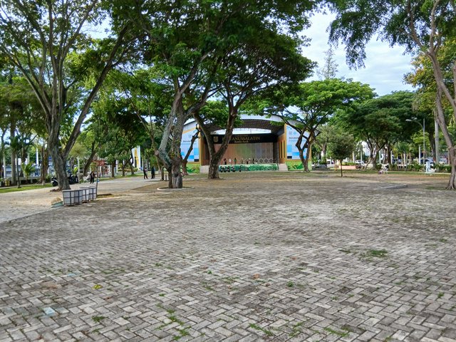 20250616_171737.jpg