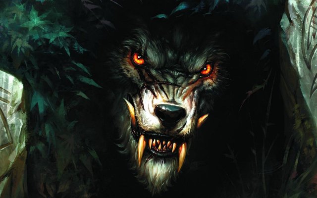 Werewolf-Amazing-Wallpapers.jpg