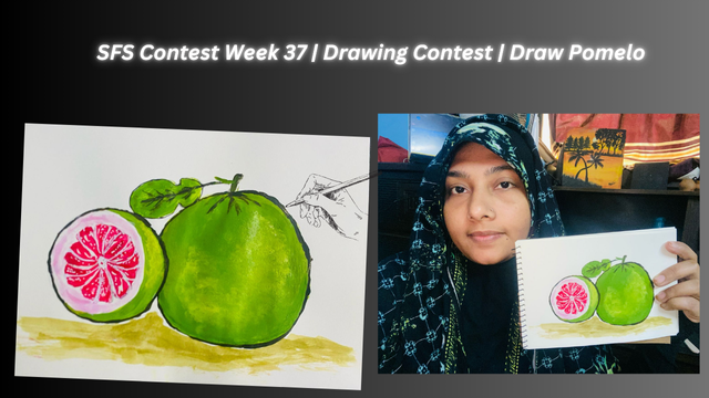 SFS Contest Week 37  Drawing Contest  Draw Pomelo.png