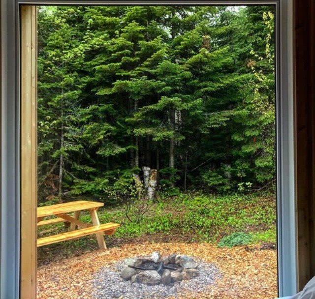forest4.jpg