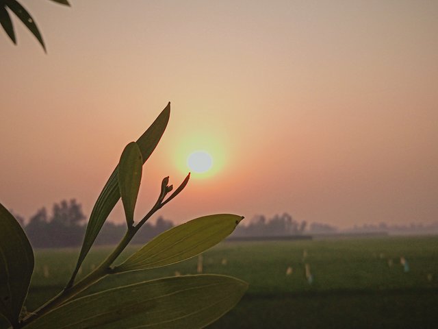 IMG20230413062147_00 (1).jpg