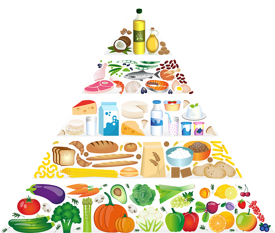 food-pyramid-5329204__480.png