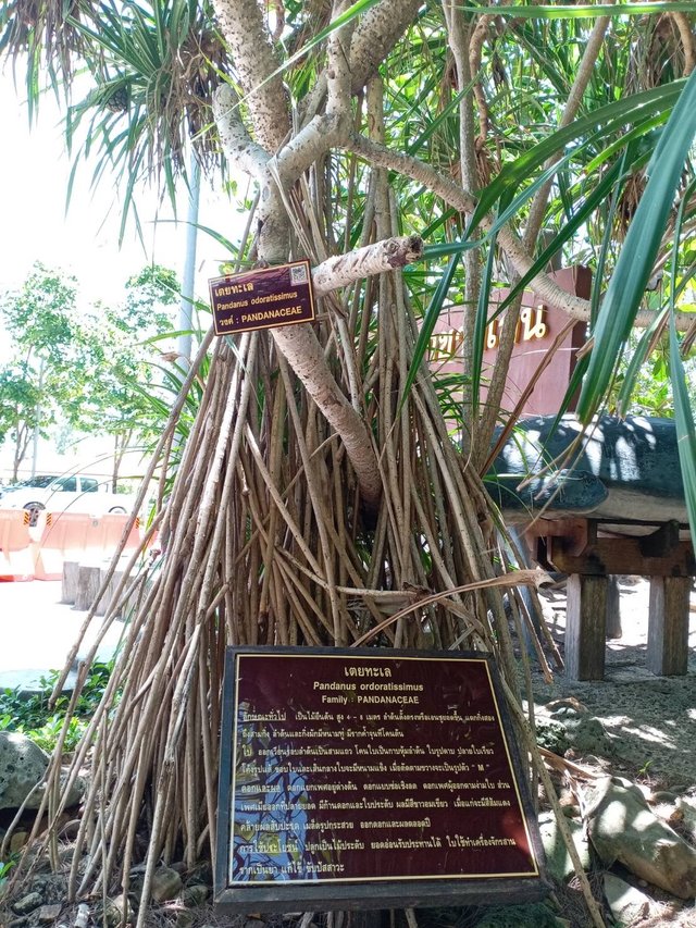 Ao Kung Krabean18.jpg