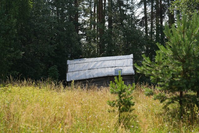 DSC09632.jpg