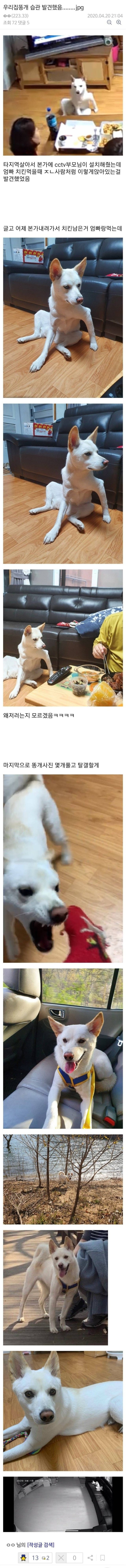 특이한댕댕이의자세.jfif