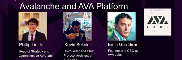 AVA TEAM.jpg
