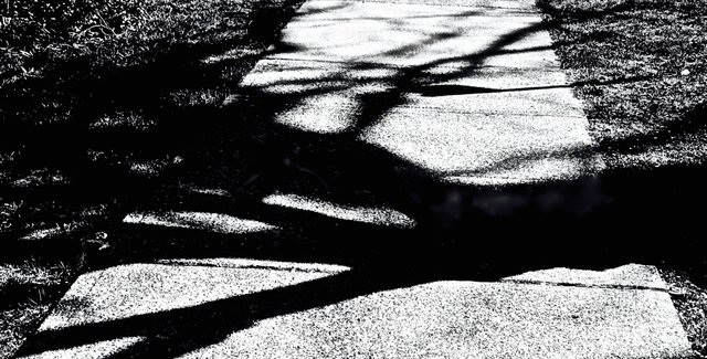 IMG_6589 copy (2).jpg