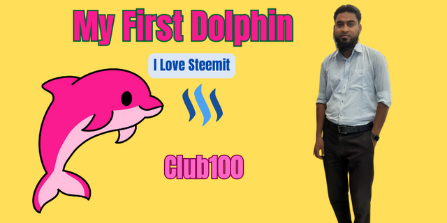 My First Dolphin.png