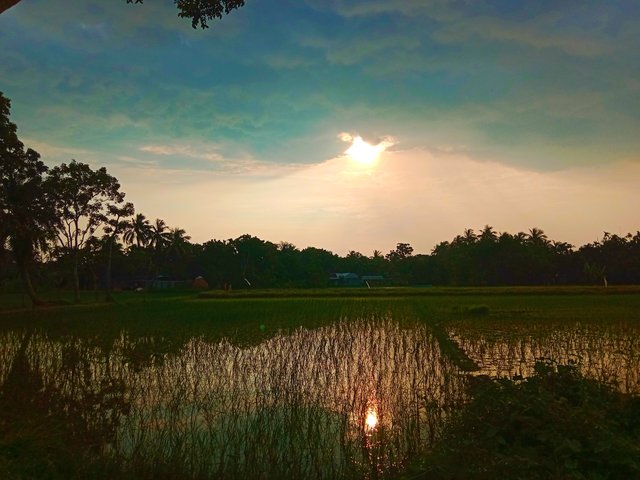 IMG_20250810_193651.jpg
