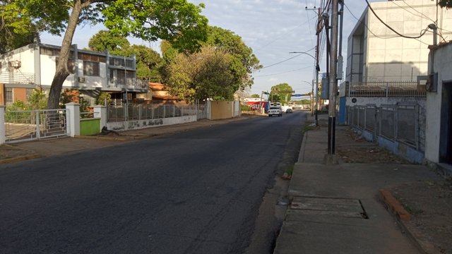IMG_20250401_071107_1.jpg