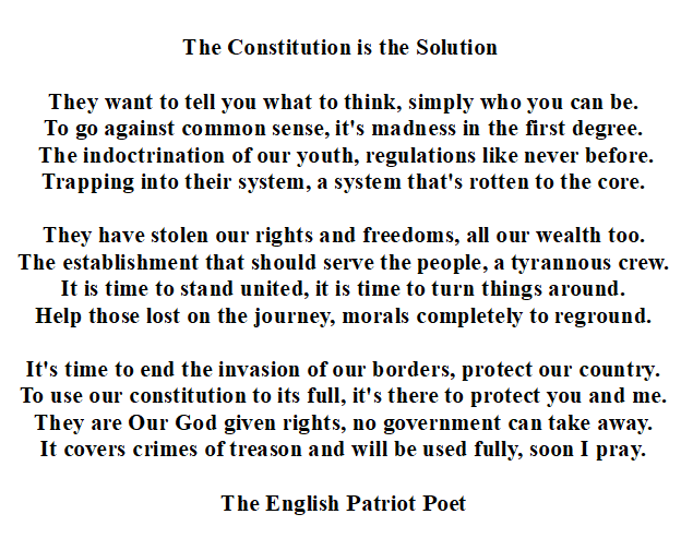 The Constitution is the Solution.PNG