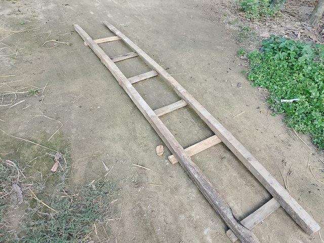 1000043097.jpg