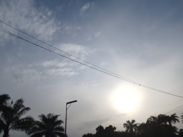 1000315427.jpg
