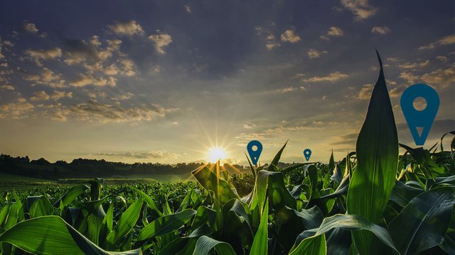 Accenture-Digital-Agriculture-Solutions-Marquee.jpg