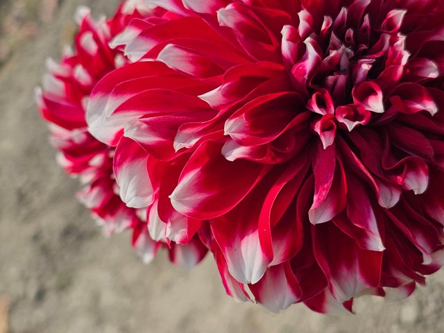 20240211_120930.jpg