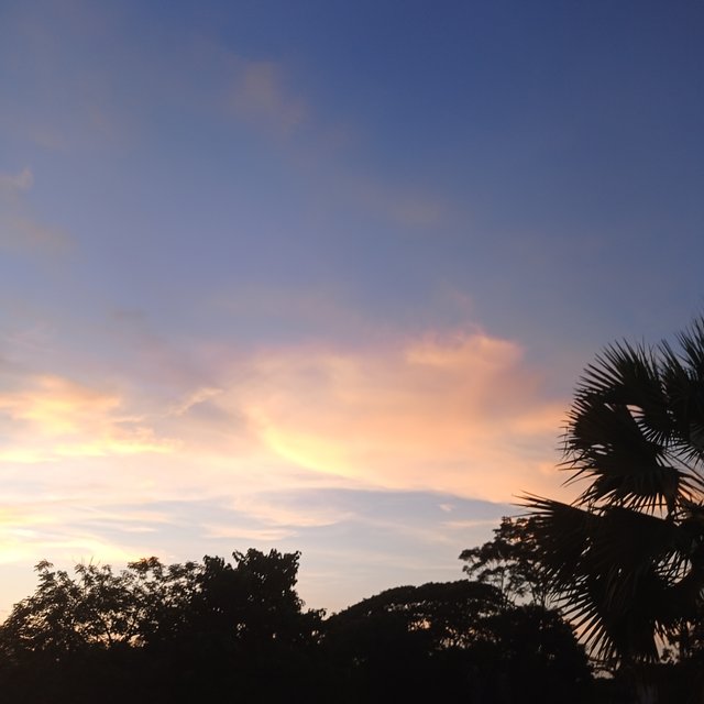 IMG_20250924_175848.jpg