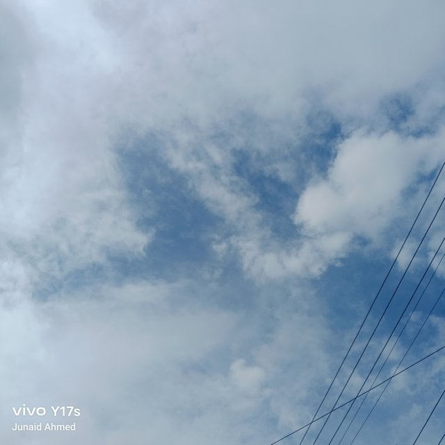 1000376970.jpg