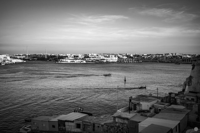 IMG_5292.jpg