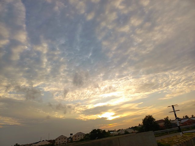 1000639276.jpg