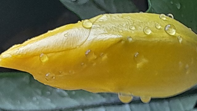 20250806_150043.jpg
