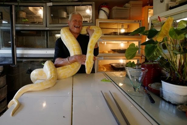 0_Philippe-Gillet-67-year-old-Frenchman-who-lives-with-more-than-400-reptiles-and-tamed-alligators-p.jpg