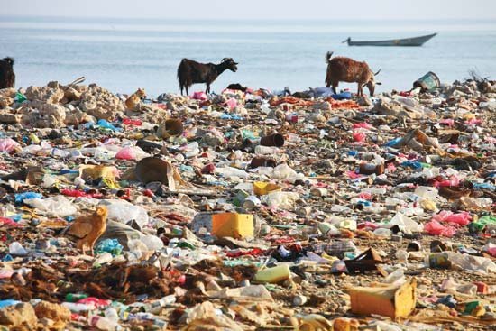 waste-beach-land-pollution-soil-water-health.jpg