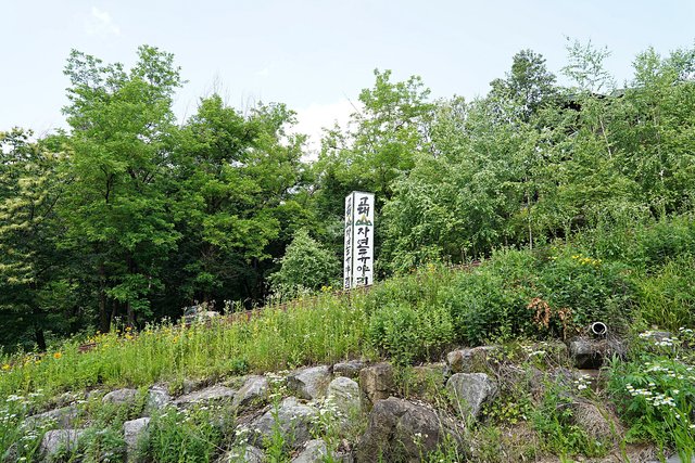 b-DSC07749.JPG