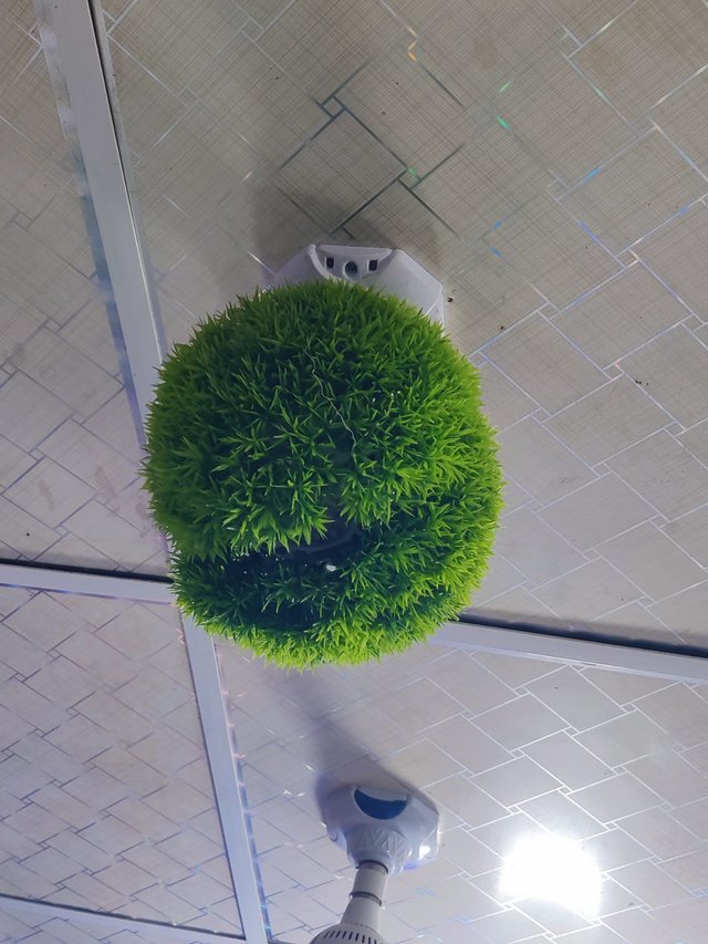 1000051764.jpg