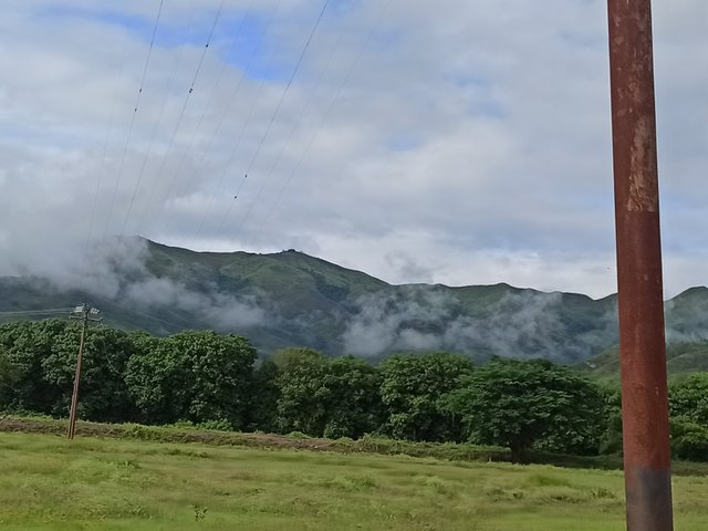 IMG_20250724_191157.jpg