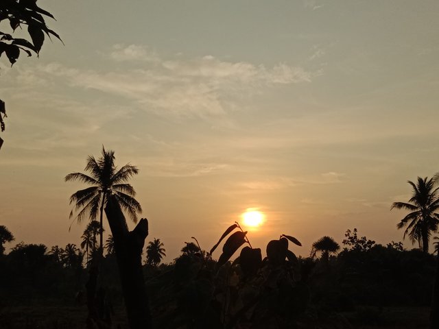 IMG_20250627_182245.jpg