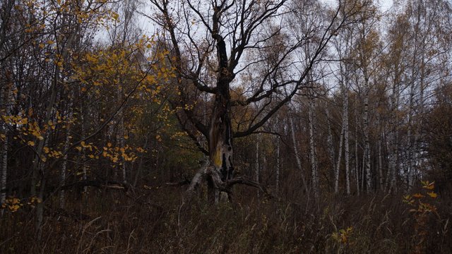 DSC01267.JPG