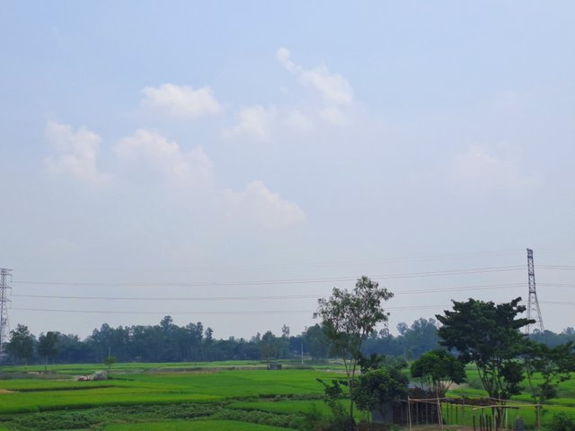 20250503_125727.jpg