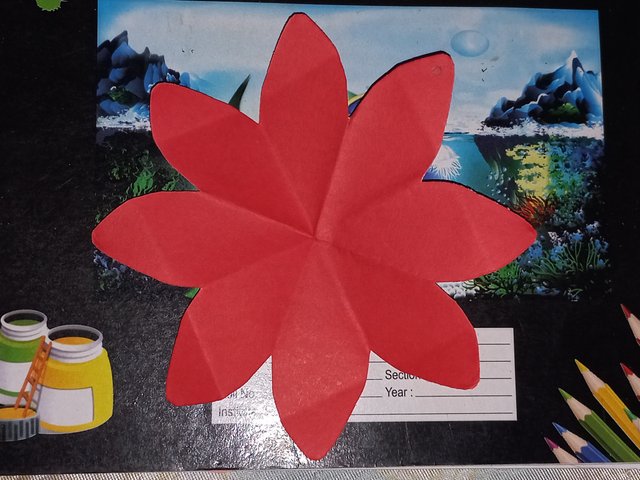 20250422_114014.jpg