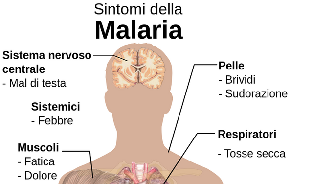 Malaria-sintomi.png