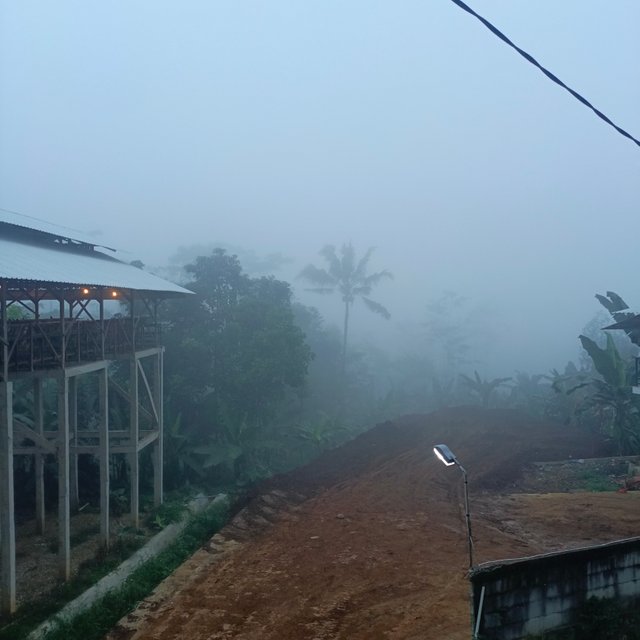 1000255822.jpg