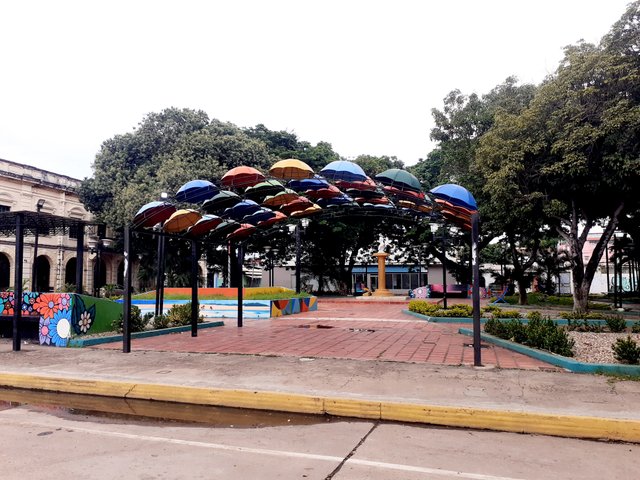 20250726_154322.jpg
