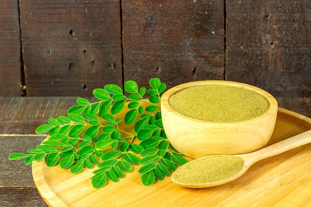 moringa-6582660_640.jpg