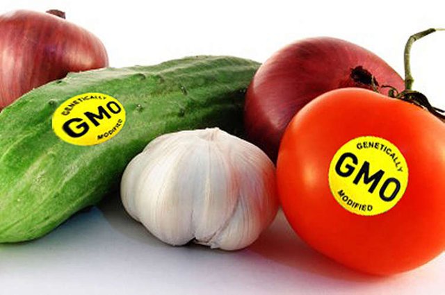 gm-foods.jpg