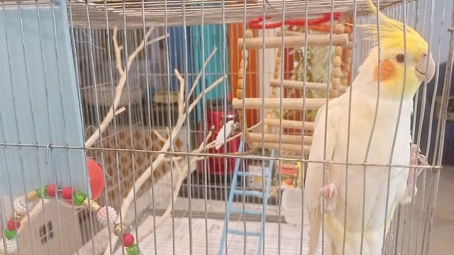 IMG20250606193225.jp