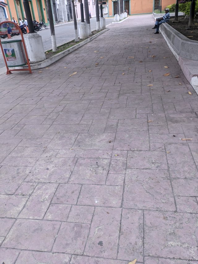 PXL_20250422_124513250.jpg