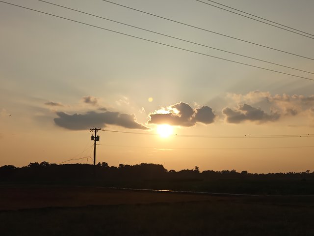 1000030081.jpg