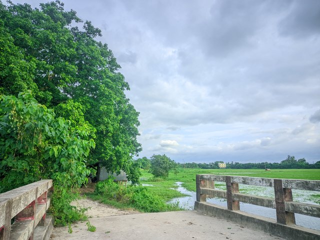20250725_175443.jpg