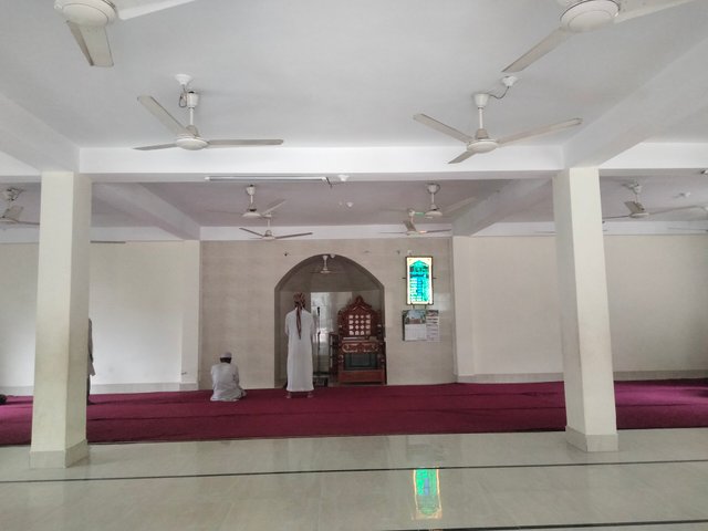 IMG20250320134216.jpg