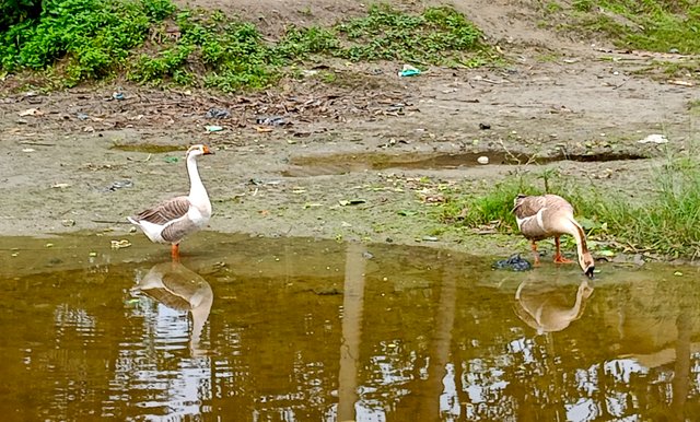 IMG20231121081558.jpg