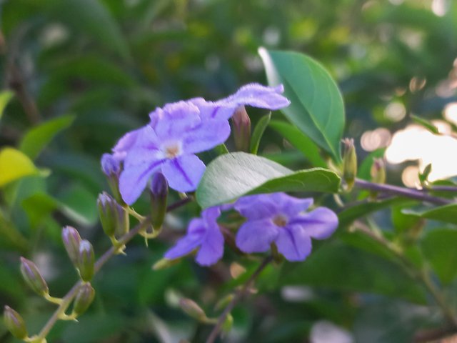20230904_173021.jpg