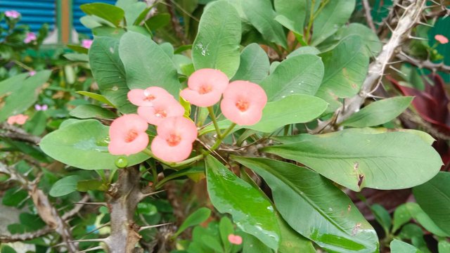 IMG_20250912_100430_468.jpg