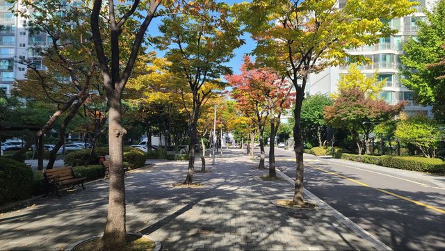 IMAGE 2025-11-11 04:46:58.jpg