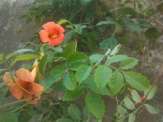 IMG20250911145144.jpg