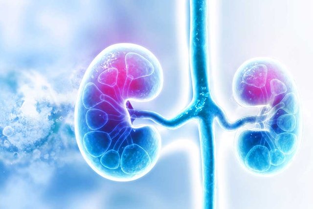 Renal Biomarkers Market.jpg